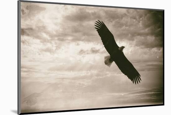 Sunray Eagle-Nathan Larson-Mounted Photographic Print