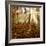 Sunrays and Morning Fog, Deciduous Forest in Autumn, Ziegelroda Forest, Saxony-Anhalt, Germany-Andreas Vitting-Framed Photographic Print