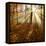 Sunrays and Morning Fog, Deciduous Forest in Autumn, Ziegelroda Forest, Saxony-Anhalt, Germany-Andreas Vitting-Framed Premier Image Canvas