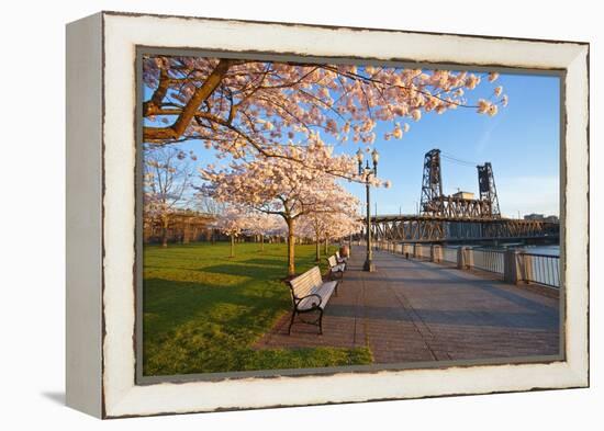 Sunrie Cherry Trees and Steel Bridge, Portland Oregon.-Craig Tuttle-Framed Premier Image Canvas