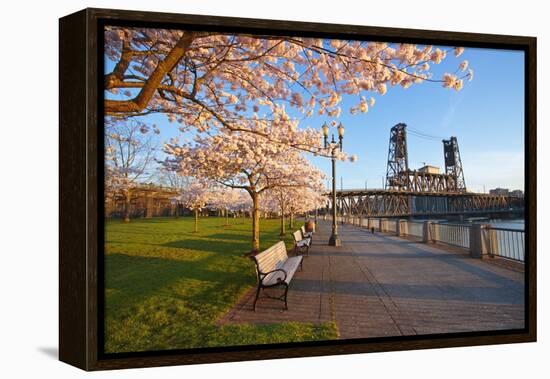 Sunrie Cherry Trees and Steel Bridge, Portland Oregon.-Craig Tuttle-Framed Premier Image Canvas