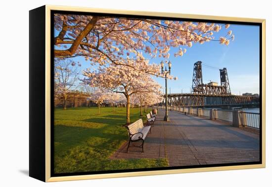 Sunrie Cherry Trees and Steel Bridge, Portland Oregon.-Craig Tuttle-Framed Premier Image Canvas