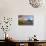 Sunrie Cherry Trees and Steel Bridge, Portland Oregon.-Craig Tuttle-Photographic Print displayed on a wall