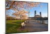 Sunrie Cherry Trees and Steel Bridge, Portland Oregon.-Craig Tuttle-Mounted Photographic Print