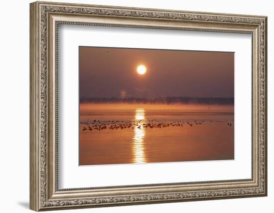 Sunrise About the LŸbeck Bay in Front of TravemŸnde-Uwe Steffens-Framed Photographic Print