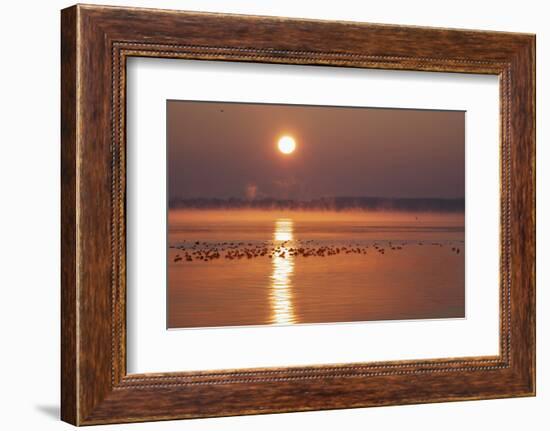 Sunrise About the LŸbeck Bay in Front of TravemŸnde-Uwe Steffens-Framed Photographic Print