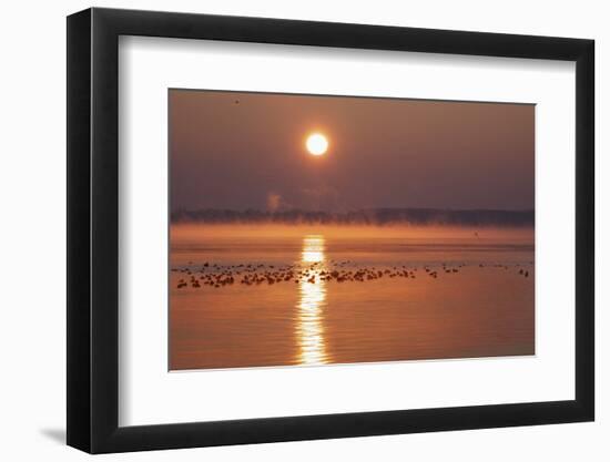 Sunrise About the LŸbeck Bay in Front of TravemŸnde-Uwe Steffens-Framed Photographic Print