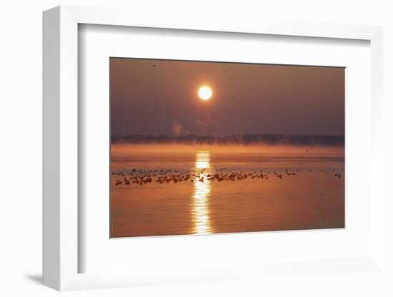 Sunrise About the LŸbeck Bay in Front of TravemŸnde-Uwe Steffens-Framed Photographic Print