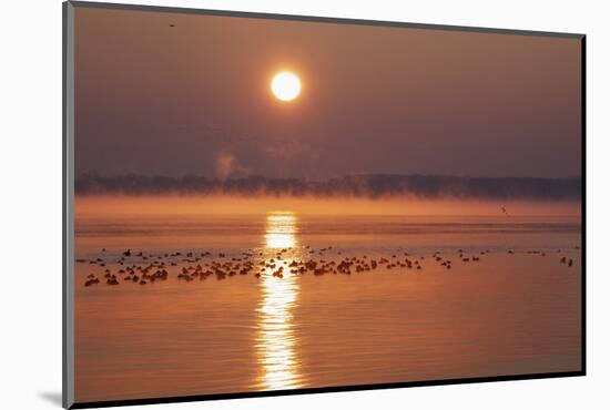 Sunrise About the LŸbeck Bay in Front of TravemŸnde-Uwe Steffens-Mounted Photographic Print