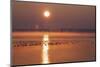 Sunrise About the LŸbeck Bay in Front of TravemŸnde-Uwe Steffens-Mounted Photographic Print