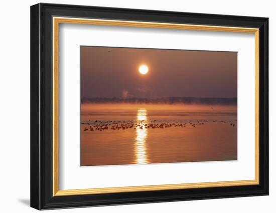 Sunrise About the LŸbeck Bay in Front of TravemŸnde-Uwe Steffens-Framed Photographic Print