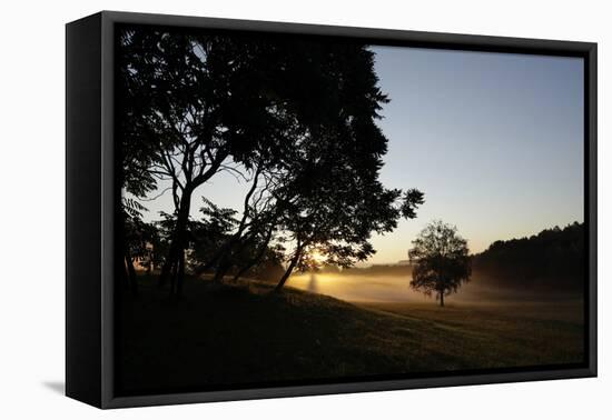 Sunrise across the Trees and Fields with House Dellacher, Oberwart, Burgenland, Austria-Rainer Schoditsch-Framed Premier Image Canvas