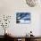 Sunrise, Ambleside, Lake Windermere, Lake District National Park, Cumbria, England, UK, Europe-Jeremy Lightfoot-Photographic Print displayed on a wall