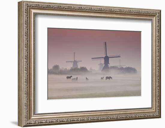 Sunrise and Morning Fog with Silhouetted Windmills and Horses in Field Kinderdijk, Netherlands-Darrell Gulin-Framed Photographic Print