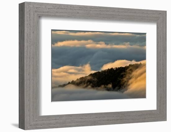 Sunrise and Mountain Mist, North Carolina-Adam Jones-Framed Photographic Print