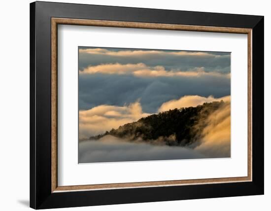 Sunrise and Mountain Mist, North Carolina-Adam Jones-Framed Photographic Print