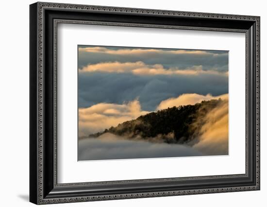 Sunrise and Mountain Mist, North Carolina-Adam Jones-Framed Photographic Print