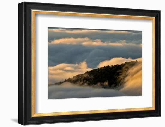 Sunrise and Mountain Mist, North Carolina-Adam Jones-Framed Photographic Print