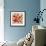 Sunrise Anemones-Silvia Vassileva-Framed Premium Giclee Print displayed on a wall