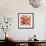 Sunrise Anemones-Silvia Vassileva-Framed Premium Giclee Print displayed on a wall