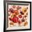 Sunrise Anemones-Silvia Vassileva-Framed Premium Giclee Print