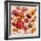 Sunrise Anemones-Silvia Vassileva-Framed Premium Giclee Print