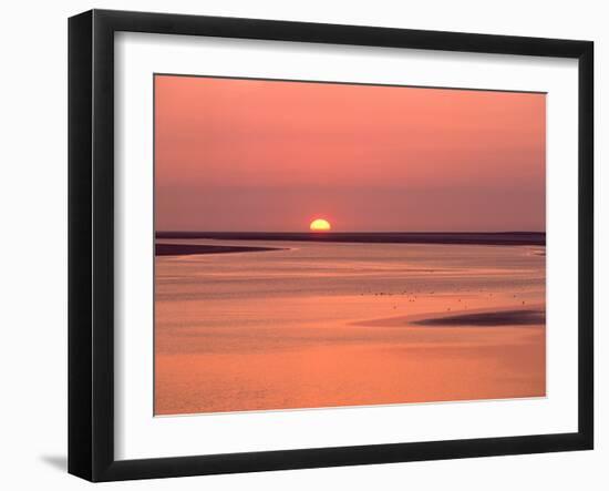 Sunrise at bay of Mont Saint-Michel, Brittany, France-null-Framed Photographic Print