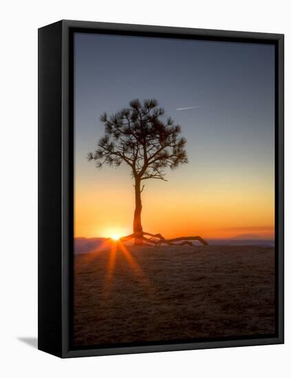 Sunrise at Bryce Canyon National Park, Utah, USA-Tom Norring-Framed Premier Image Canvas