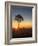 Sunrise at Bryce Canyon National Park, Utah, USA-Tom Norring-Framed Photographic Print