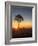 Sunrise at Bryce Canyon National Park, Utah, USA-Tom Norring-Framed Photographic Print