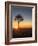 Sunrise at Bryce Canyon National Park, Utah, USA-Tom Norring-Framed Photographic Print