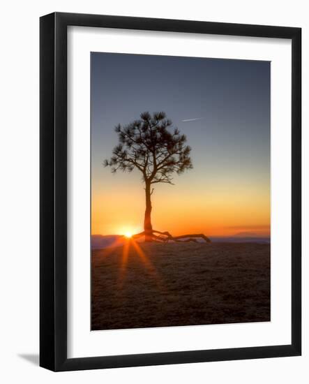 Sunrise at Bryce Canyon National Park, Utah, USA-Tom Norring-Framed Photographic Print