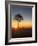 Sunrise at Bryce Canyon National Park, Utah, USA-Tom Norring-Framed Photographic Print