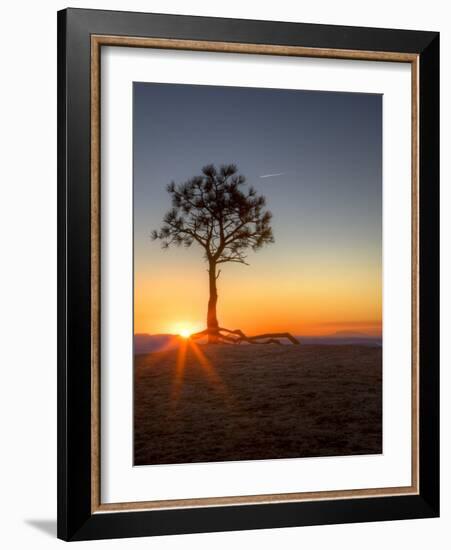 Sunrise at Bryce Canyon National Park, Utah, USA-Tom Norring-Framed Photographic Print