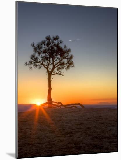 Sunrise at Bryce Canyon National Park, Utah, USA-Tom Norring-Mounted Photographic Print
