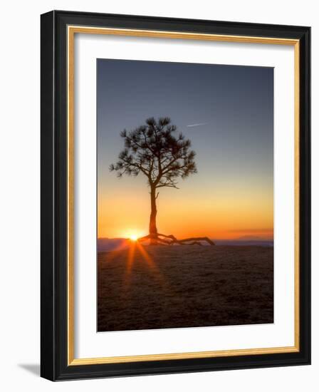 Sunrise at Bryce Canyon National Park, Utah, USA-Tom Norring-Framed Photographic Print