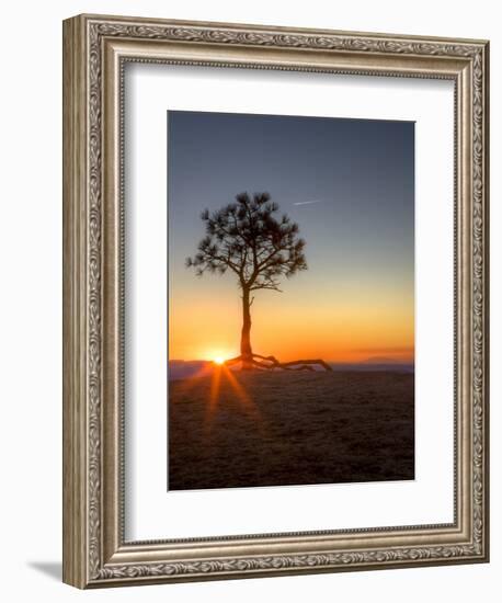 Sunrise at Bryce Canyon National Park, Utah, USA-Tom Norring-Framed Photographic Print