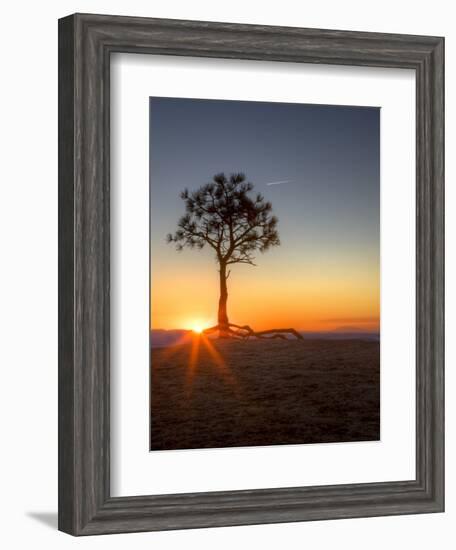 Sunrise at Bryce Canyon National Park, Utah, USA-Tom Norring-Framed Photographic Print