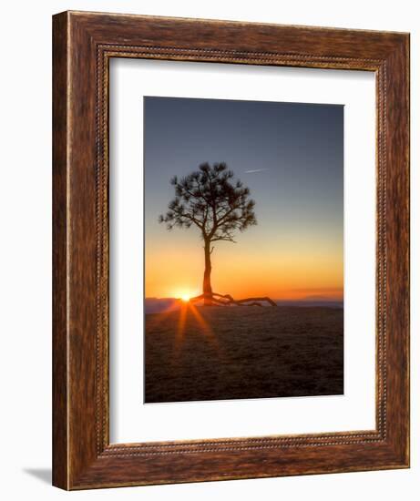 Sunrise at Bryce Canyon National Park, Utah, USA-Tom Norring-Framed Photographic Print