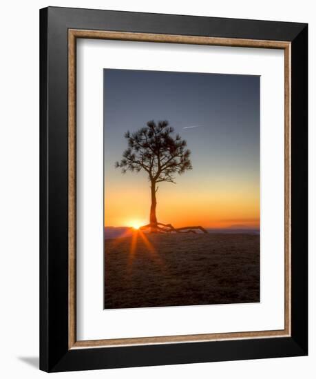 Sunrise at Bryce Canyon National Park, Utah, USA-Tom Norring-Framed Photographic Print