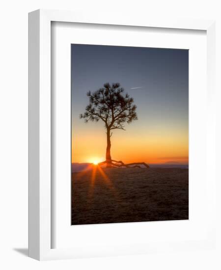 Sunrise at Bryce Canyon National Park, Utah, USA-Tom Norring-Framed Photographic Print