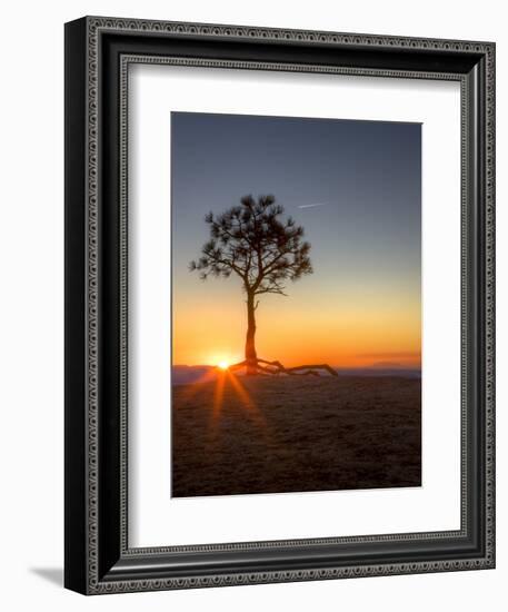 Sunrise at Bryce Canyon National Park, Utah, USA-Tom Norring-Framed Photographic Print