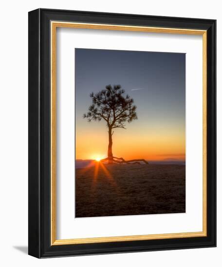 Sunrise at Bryce Canyon National Park, Utah, USA-Tom Norring-Framed Photographic Print