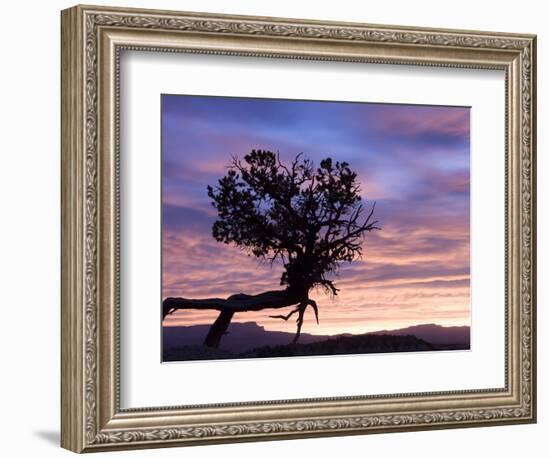 Sunrise at Bryce Canyon National Park, Utah, USA-Tom Norring-Framed Photographic Print