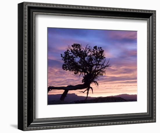 Sunrise at Bryce Canyon National Park, Utah, USA-Tom Norring-Framed Photographic Print