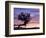 Sunrise at Bryce Canyon National Park, Utah, USA-Tom Norring-Framed Photographic Print