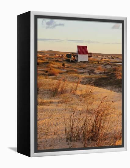 Sunrise at dunes, Cabo Polonio, Rocha Department, Uruguay, South America-Karol Kozlowski-Framed Premier Image Canvas