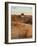 Sunrise at dunes, Cabo Polonio, Rocha Department, Uruguay, South America-Karol Kozlowski-Framed Photographic Print