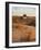 Sunrise at dunes, Cabo Polonio, Rocha Department, Uruguay, South America-Karol Kozlowski-Framed Photographic Print