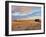 Sunrise at dunes, Cabo Polonio, Rocha Department, Uruguay, South America-Karol Kozlowski-Framed Photographic Print